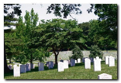 Confederate graves