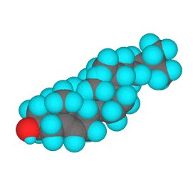 cholesterol