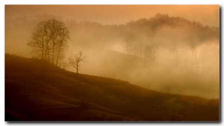 Misty morning, 2009